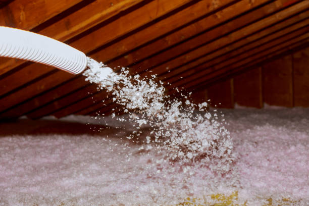 Best Insulation Contractor Near Me  in Kings Mountain, NC