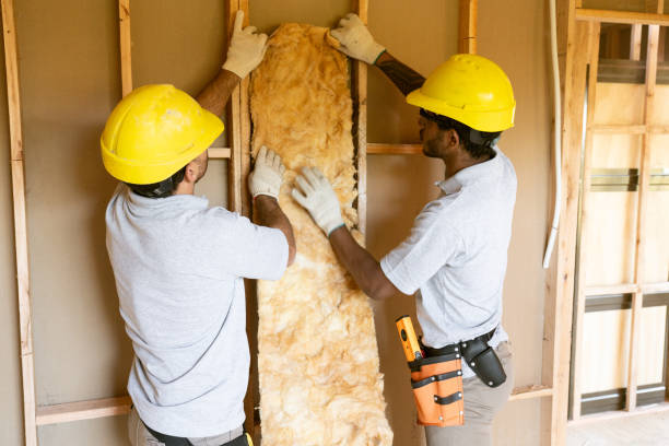 Best Residential Insulation Services  in Kings Mountain, NC