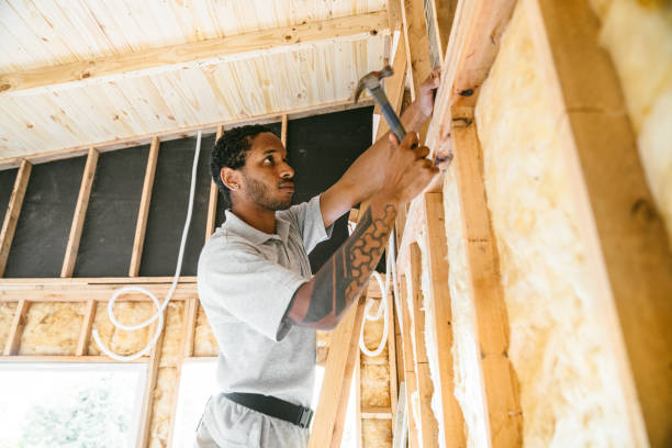 Best Energy-efficient Insulation  in Kings Mountain, NC
