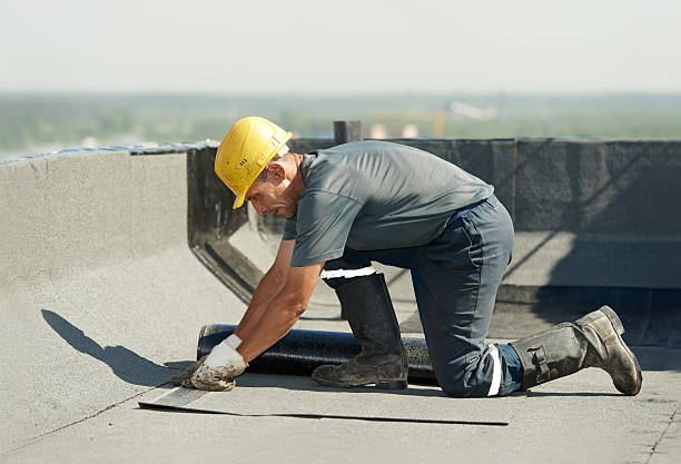 Best Local Insulation Services  in Kings Mountain, NC