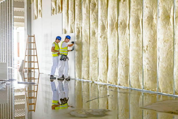 Best Attic Insulation Installation  in Kings Mountain, NC